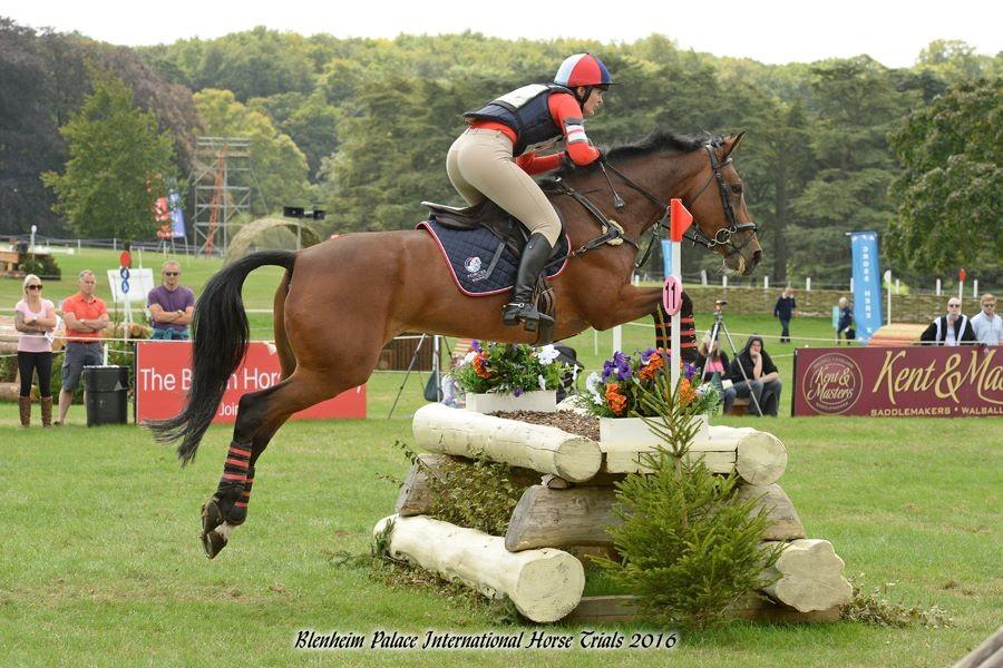 Emma-Jo Thorpe Riding Arena Eventing Fence