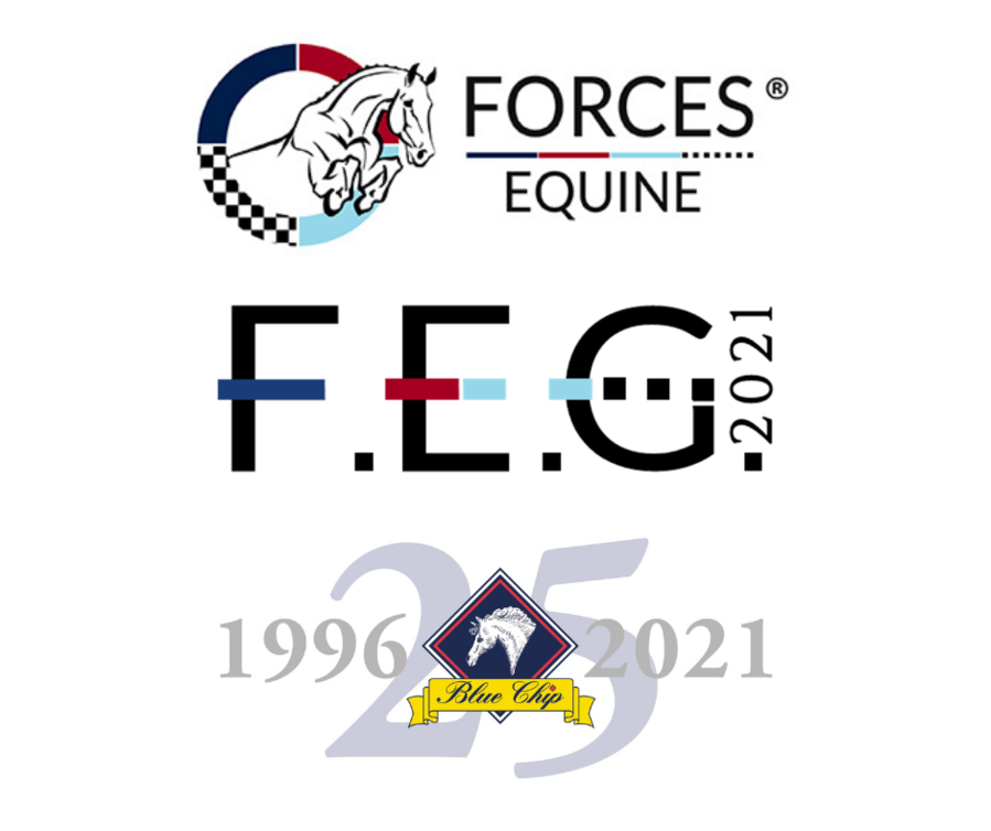 Blue Chip sponsors Forces Equine Games & offer membership support