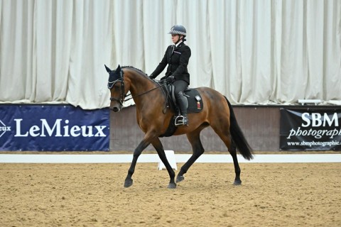Celebrating a Landmark Achievement for Essex Police Equestrian Sport
